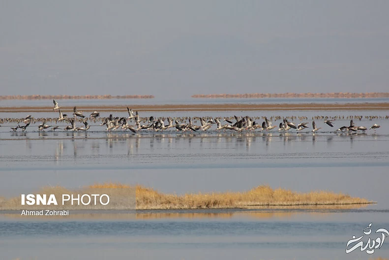 (تصاویر) طبیعت گردشگری قم